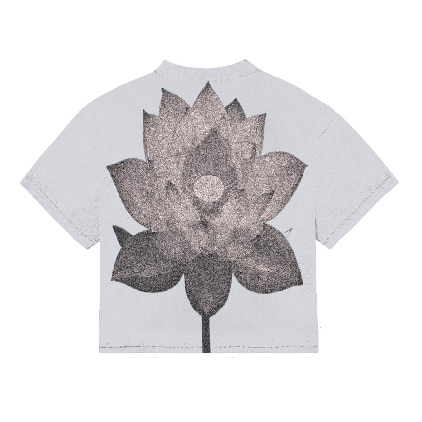 Dharma “Eyez” Graphic T